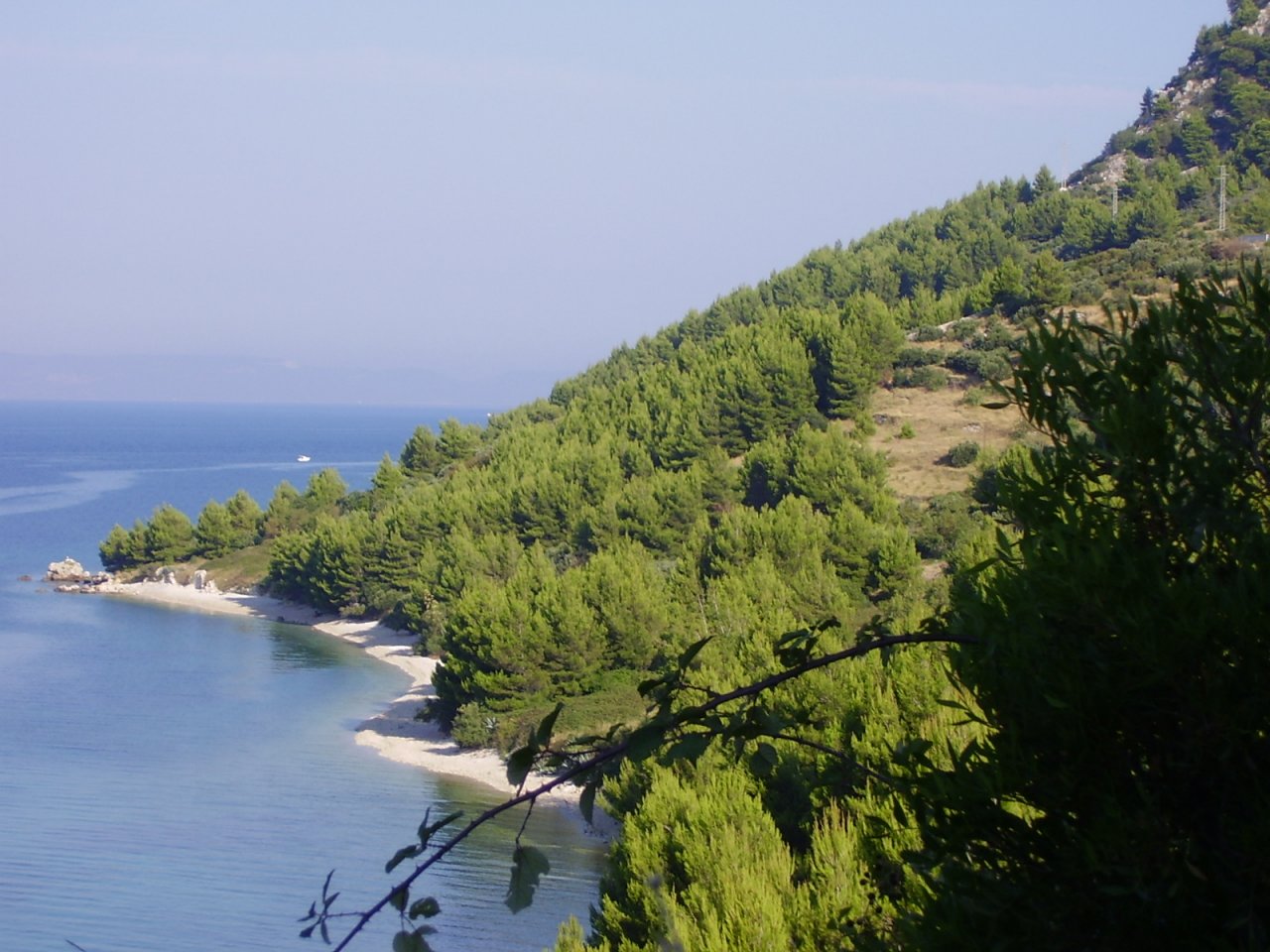 Apartment Oleandar - Igrane